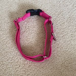 New hot pink nightingale dog collar